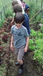 class in garden