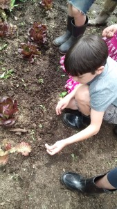 kid planting a seed