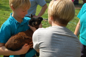 peter holding lamb-tour